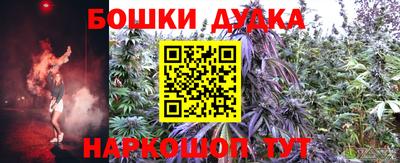 прущие грибы Северобайкальск
