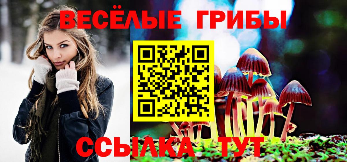 Галлюциногенные грибы Psilocybine cubensis  Вход с VPN  Псилоцибиновые грибы Psilocybe  Миллерово 